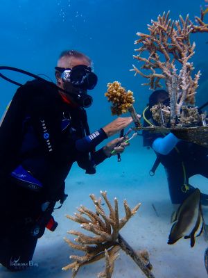 Chef John Coral Cleaning 

