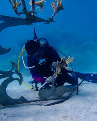 Patricia Coral Cleaning 
